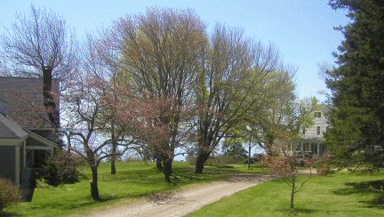 Entering Ledgemere: Carriage House on Left